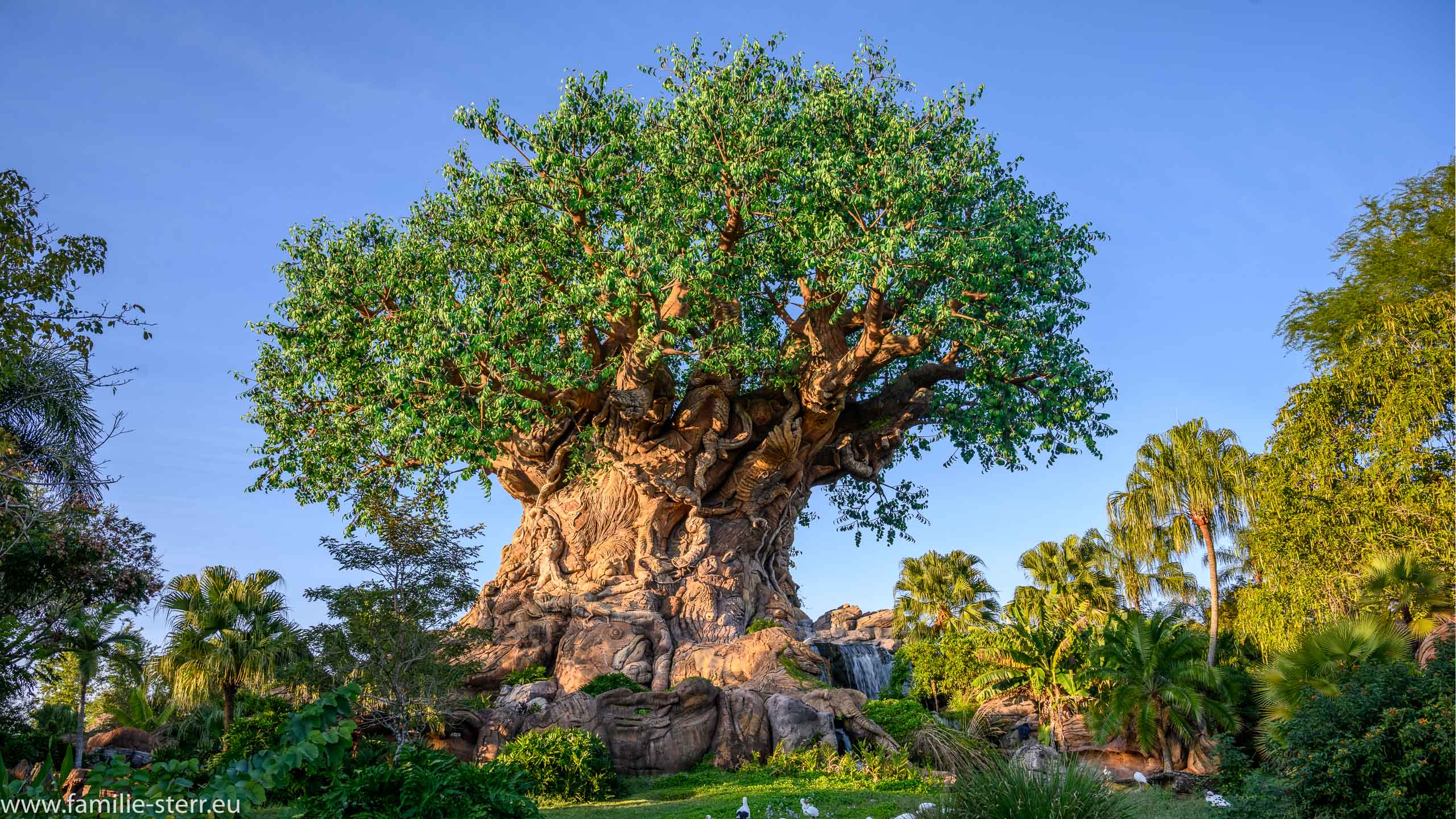Animal Kingdom